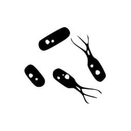 오메가3 지방산