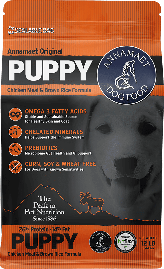 ANNAMAET Original Puppy